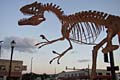 0-20030626-2137-Thermopolis-Allosaurus (21K)