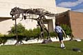 0-20030628-2228-Bozeman-T-Rex (21K)