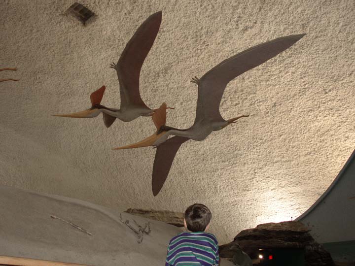 20030622-1798-Pteranodon (67K)
