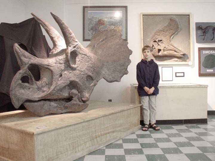 20030625-2000-Tricerotops-Skull (66K)