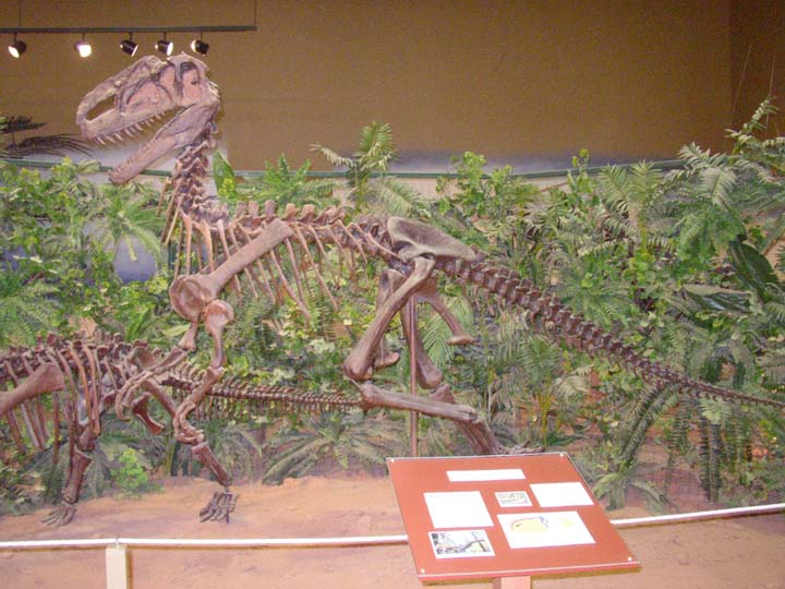 20030627-2138-Monolophosaurus (92K)