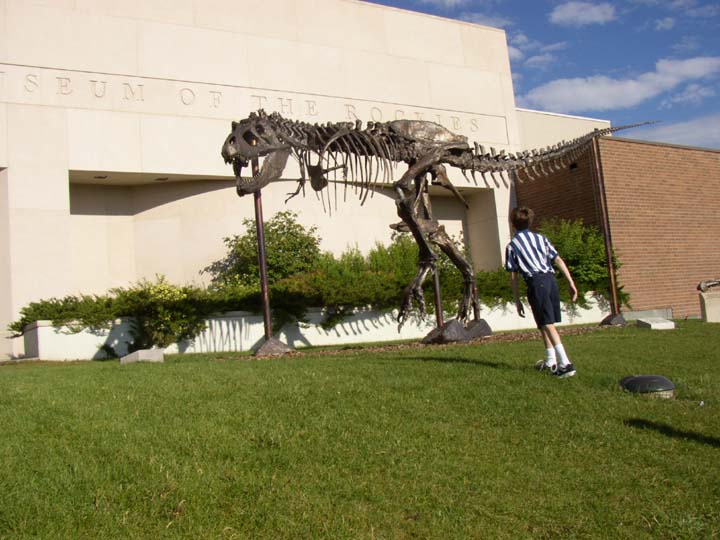 20030628-2228-Bozeman-T-Rex (82K)