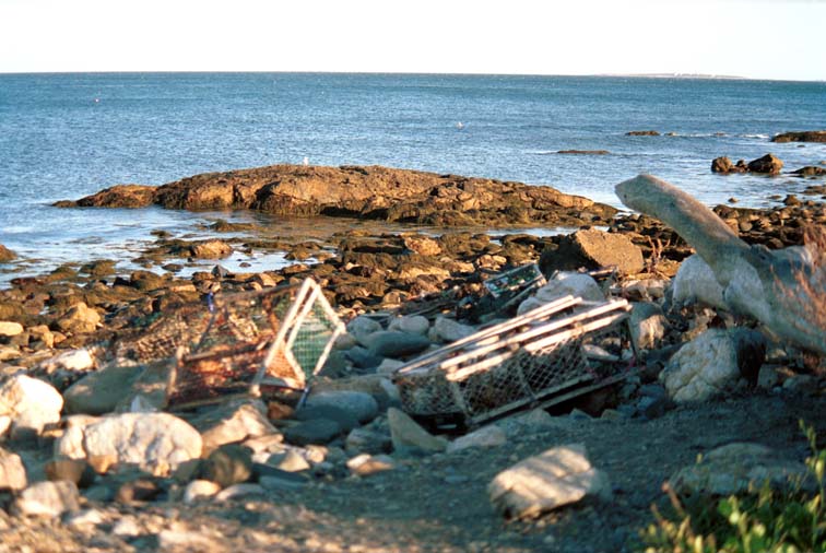 Lobster pot in foreground, the ocean behind (93K)