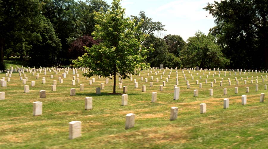 Rows of tombstones in the cemetery.